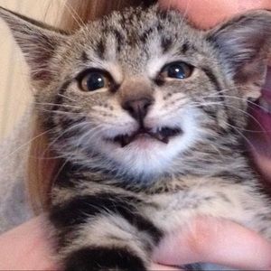 Meet your Posher, Erin